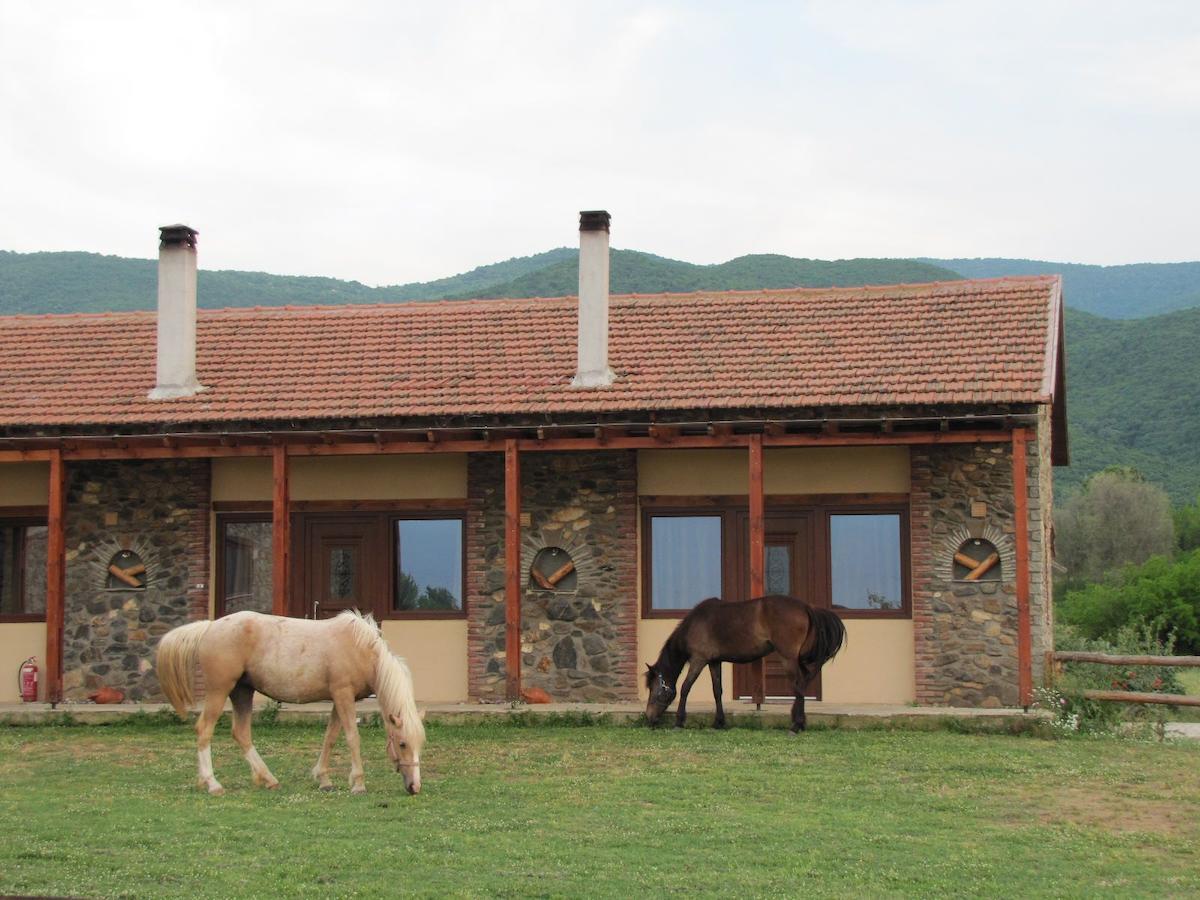 Bed and Breakfast Ihnilatis Kerkíni Exterior foto